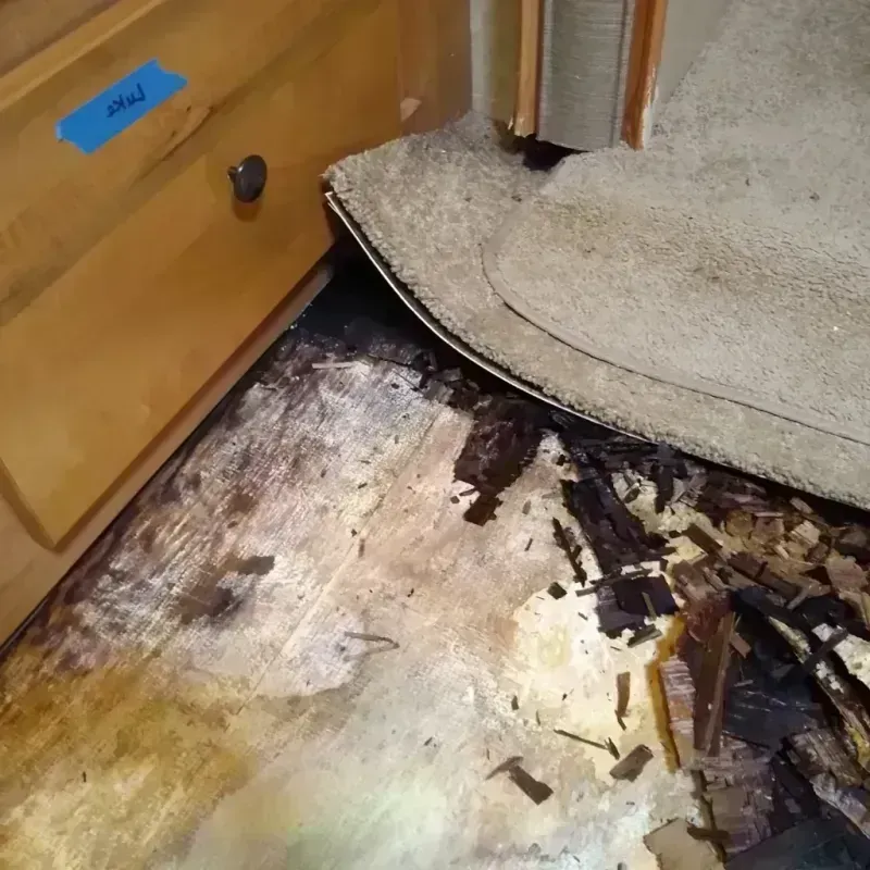 Wood Floor Water Damage in Perry, OH